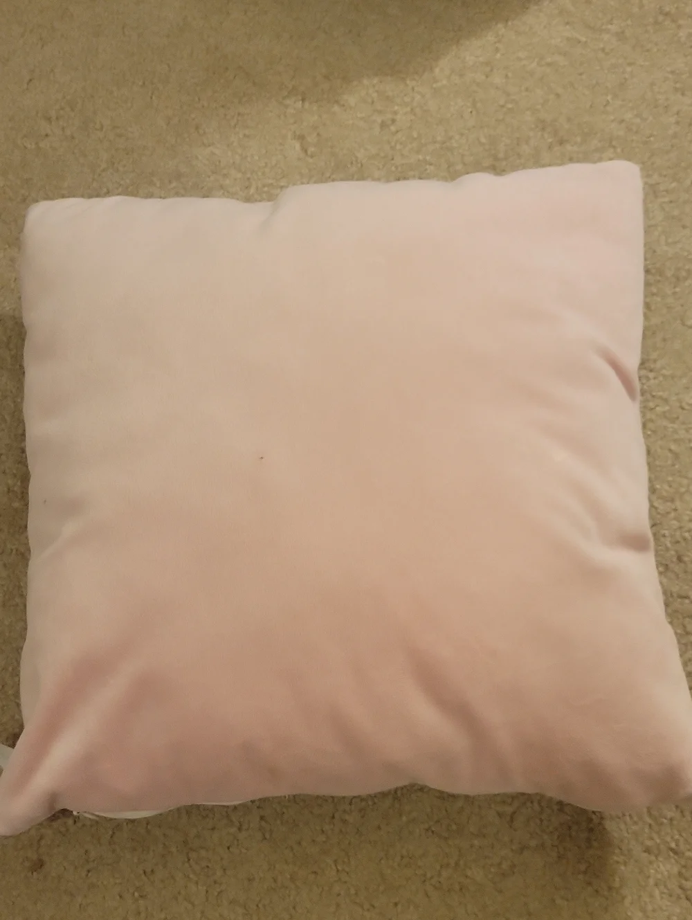 Mon-Ami Whimsical 'Believe in Magic' 3D Decorative Pillow. *STAINS AS PICTURED.